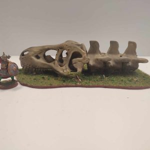 Crâne de dinosaure avec colonne vertébrale