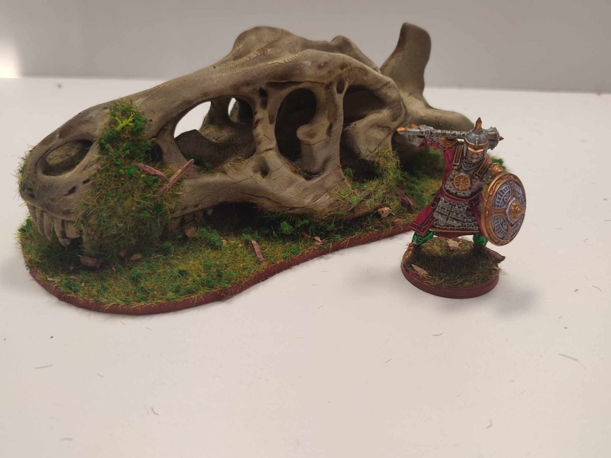 Crâne de dinosaure – Image 2